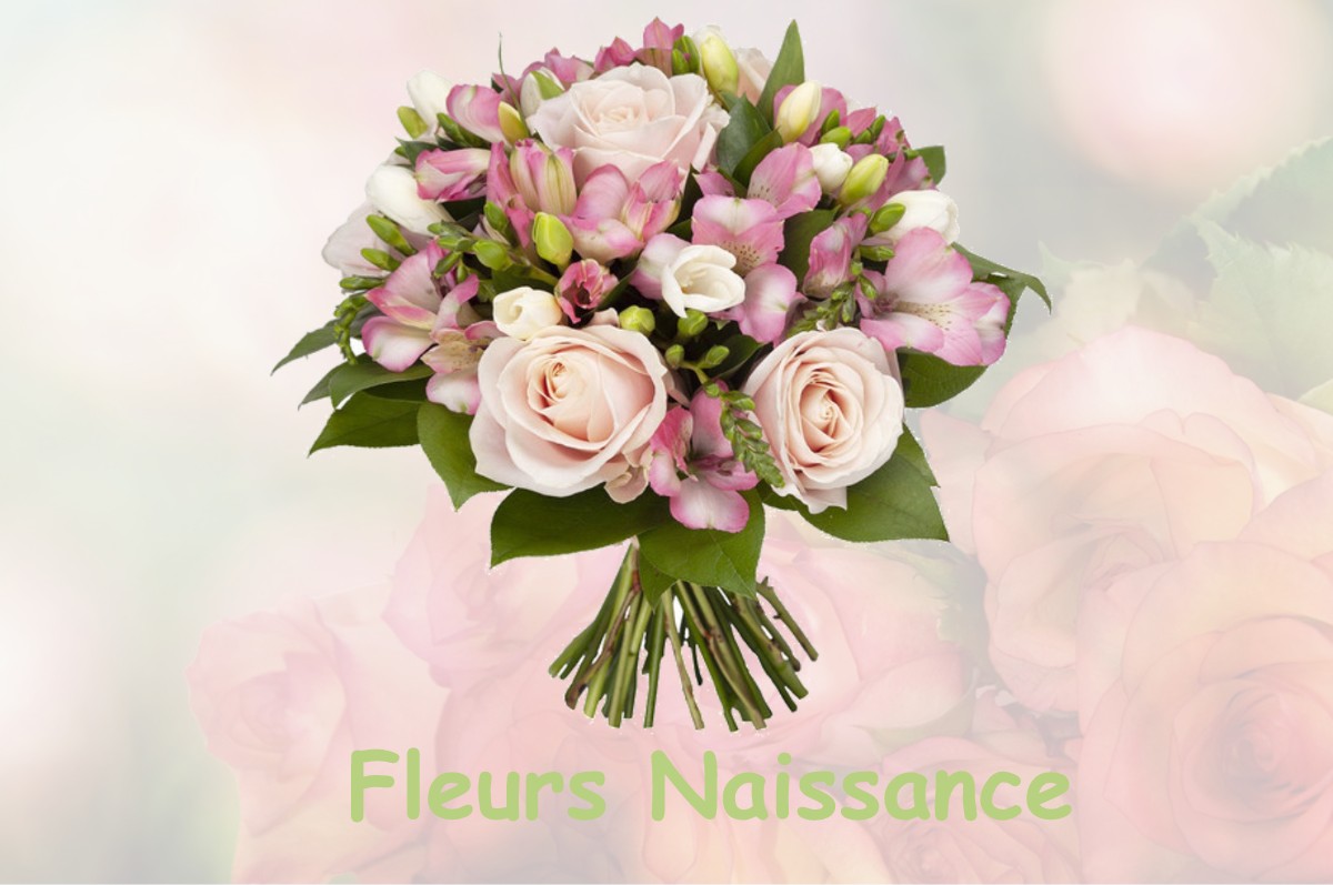 fleurs naissance SAINT-GREGOIRE-D-ARDENNES
